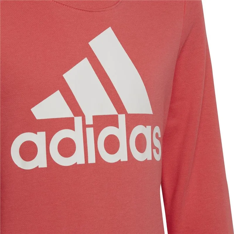 adidas Essentials Big Logo Sweat Top - Girls - Semi Turbo/White