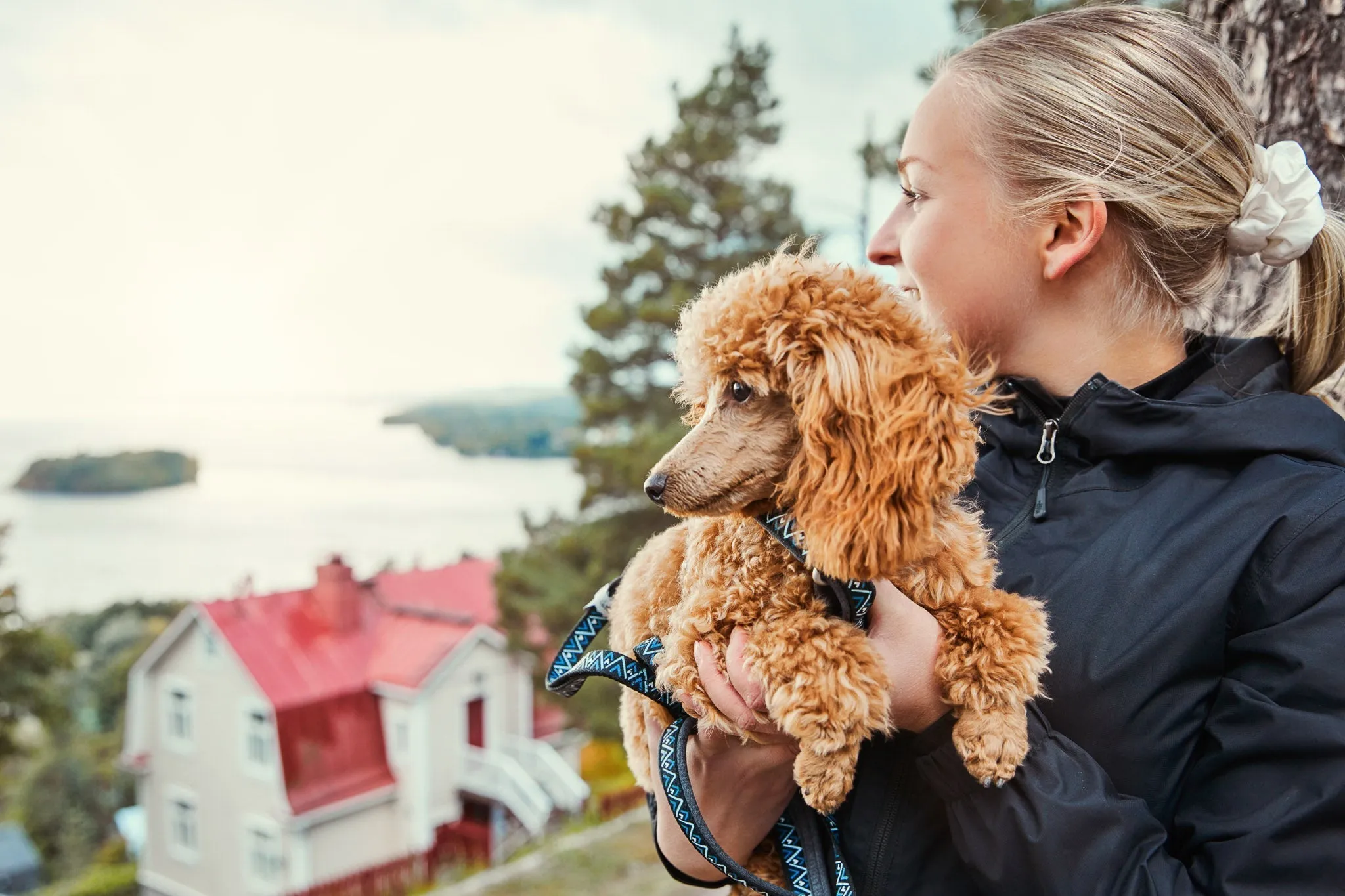 Hurtta Dog Standard Leash: Razzle Dazzle, Hedge