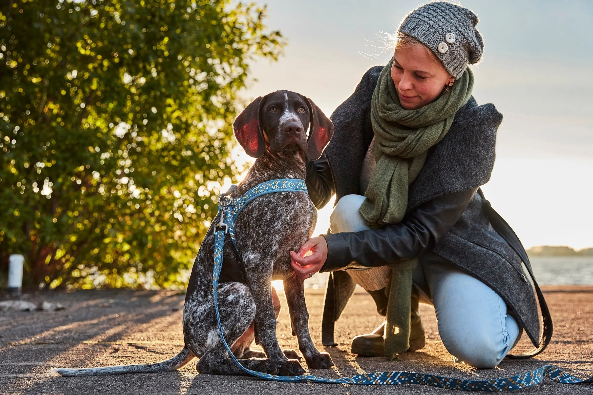 Hurtta Dog Standard Leash: Razzle Dazzle, Hedge